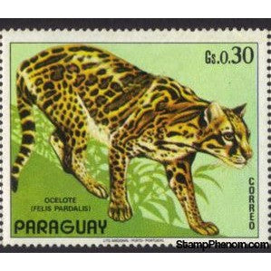 Paraguay 1972 Ocelot (Felis pardalis)
