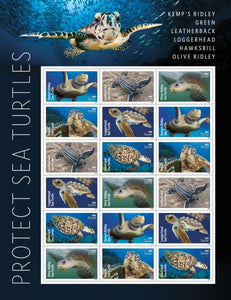 USPS Releases the 2024 Sea Turtles