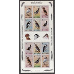 Belize 500g Birds Pane MNH VF