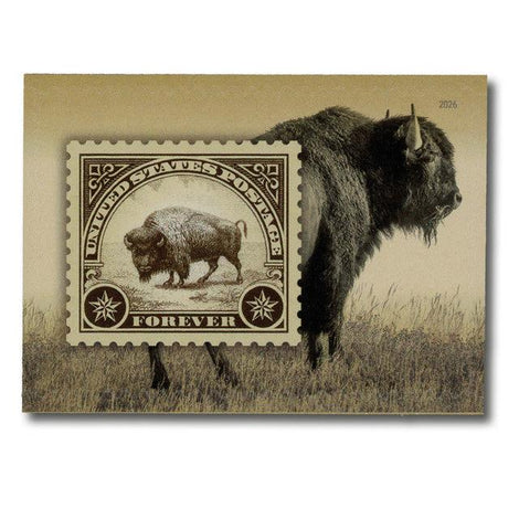 United States of America 2026 American Bison