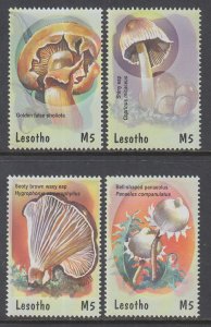 Lesotho 1282-1285 Mushrooms MNH VF