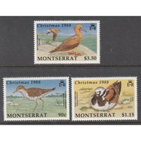 Montserrat 703-705 Christmas Birds MNH VF