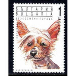 Bulgaria 3639 Dog MNH VF