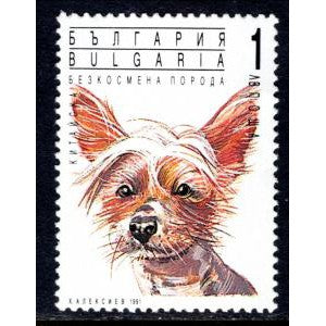 Bulgaria 3639 Dog MNH VF