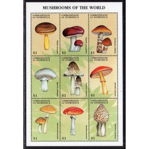 Dominica 2051 Mushrooms Souvenir Sheet MNH VF