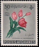 Afghanistan 1961 Teacher's Day-Stamps-Afghanistan-StampPhenom