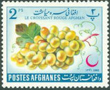 Afghanistan 1962 Afghan Red Crescent Society - Fruits and Blossoms-Stamps-Afghanistan-StampPhenom