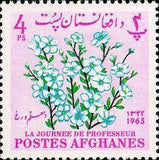 Afghanistan 1964 Teacher's Day-Stamps-Afghanistan-StampPhenom