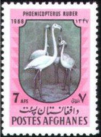 Afghanistan 1968 Wild Birds-Stamps-Afghanistan-StampPhenom