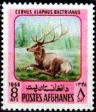 Afghanistan 1969 Wild Animals-Stamps-Afghanistan-StampPhenom