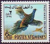 Afghanistan 1970 Wild Birds-Stamps-Afghanistan-StampPhenom