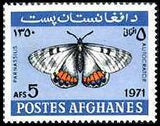 Afghanistan 1971 Butterflies and Moths-Stamps-Afghanistan-StampPhenom
