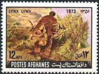Afghanistan 1972 Flora and Fauna-Stamps-Afghanistan-StampPhenom