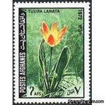 Afghanistan 1972 Flora and Fauna-Stamps-Afghanistan-StampPhenom