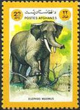 Afghanistan 1984 Animals-Stamps-Afghanistan-StampPhenom