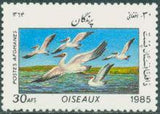 Afghanistan 1985 Birds-Stamps-Afghanistan-StampPhenom