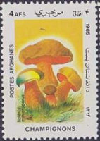 Afghanistan 1985 Fungi-Stamps-Afghanistan-StampPhenom