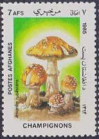 Afghanistan 1985 Fungi-Stamps-Afghanistan-StampPhenom