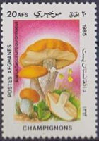 Afghanistan 1985 Fungi-Stamps-Afghanistan-StampPhenom