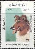 Afghanistan 1986 Dogs-Stamps-Afghanistan-StampPhenom