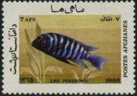 Afghanistan 1986 Fishes-Stamps-Afghanistan-StampPhenom