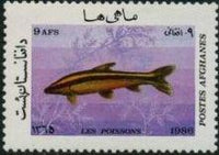 Afghanistan 1986 Fishes-Stamps-Afghanistan-StampPhenom