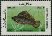 Afghanistan 1986 Fishes-Stamps-Afghanistan-StampPhenom