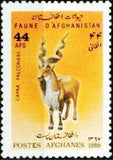 Afghanistan 1989 Animals-Stamps-Afghanistan-StampPhenom