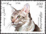 Afghanistan 1997 Cats-Stamps-Afghanistan-StampPhenom