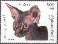 Afghanistan 1997 Cats-Stamps-Afghanistan-StampPhenom