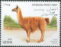 Afghanistan 1997 Llamas & Camels-Stamps-Afghanistan-StampPhenom