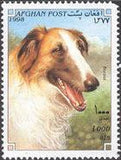 Afghanistan 1998 Dogs-Stamps-Afghanistan-StampPhenom