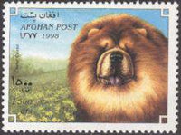 Afghanistan 1998 Dogs-Stamps-Afghanistan-StampPhenom