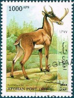 Afghanistan 1998 Prehistoric Animals-Stamps-Afghanistan-StampPhenom