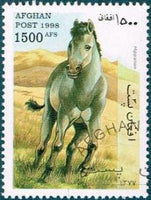 Afghanistan 1998 Prehistoric Animals-Stamps-Afghanistan-StampPhenom