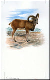 Afghanistan 1998 Steppe Sheep WWF-Stamps-Afghanistan-StampPhenom