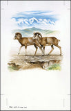 Afghanistan 1998 Steppe Sheep WWF-Stamps-Afghanistan-StampPhenom