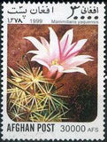 Afghanistan 1999 Cacti-Stamps-Afghanistan-StampPhenom