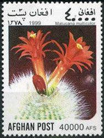 Afghanistan 1999 Cacti-Stamps-Afghanistan-StampPhenom