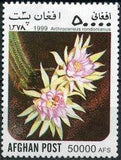 Afghanistan 1999 Cacti-Stamps-Afghanistan-StampPhenom