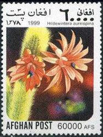 Afghanistan 1999 Cacti-Stamps-Afghanistan-StampPhenom