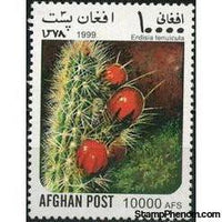 Afghanistan 1999 Cacti-Stamps-Afghanistan-StampPhenom