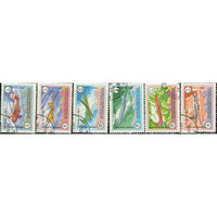 Afghanistan Aircraft , 6 stamps