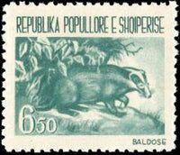 Albania 1961 Wild Animals-Stamps-Albania-StampPhenom