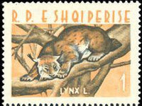 Albania 1962 Wild Animals-Stamps-Albania-StampPhenom