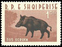 Albania 1962 Wild Animals-Stamps-Albania-StampPhenom