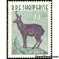 Albania 1962 Wild Animals-Stamps-Albania-StampPhenom