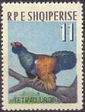 Albania 1963 Birds-Stamps-Albania-StampPhenom