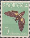 Albania 1963 Butterflies-Stamps-Albania-StampPhenom