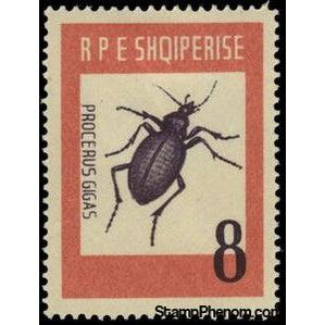 Albania 1963 Ground Beetle (Carabus gigas)-Stamps-Albania-StampPhenom